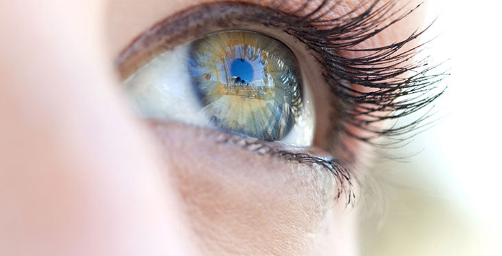 Maintaining Healthy Eyes Past 40 - What to Know
