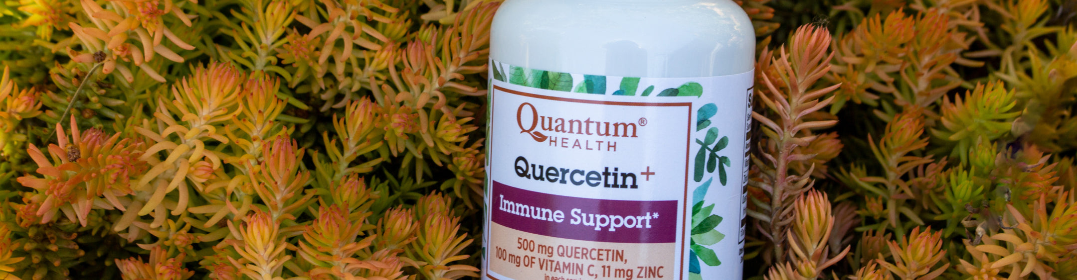 Quercetin