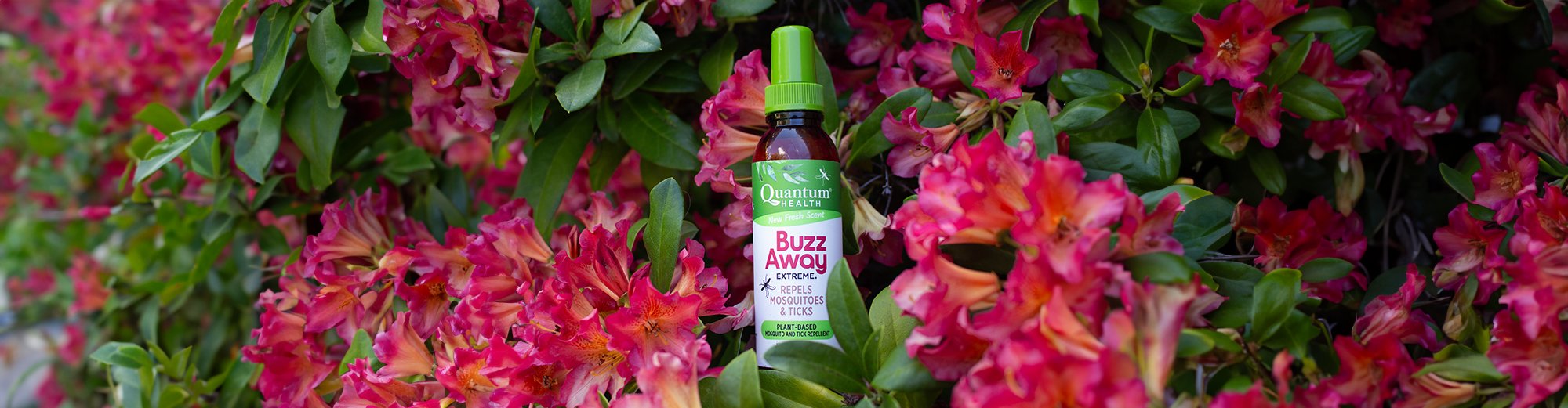Bug Repellent & Relief