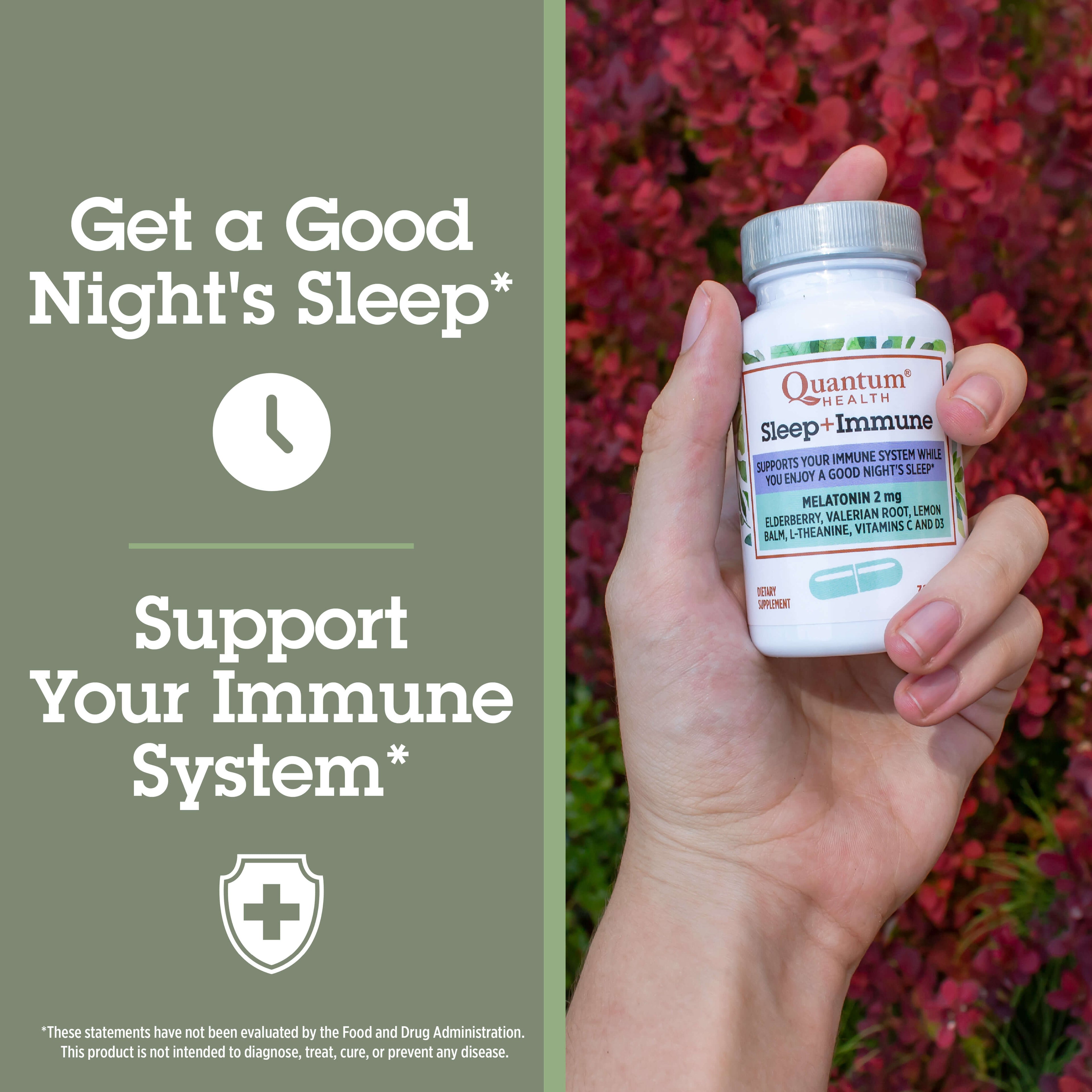 Hand holding a bottle of Quantum Sleep + Immune supplement with text about sleep and immune support on a green background.