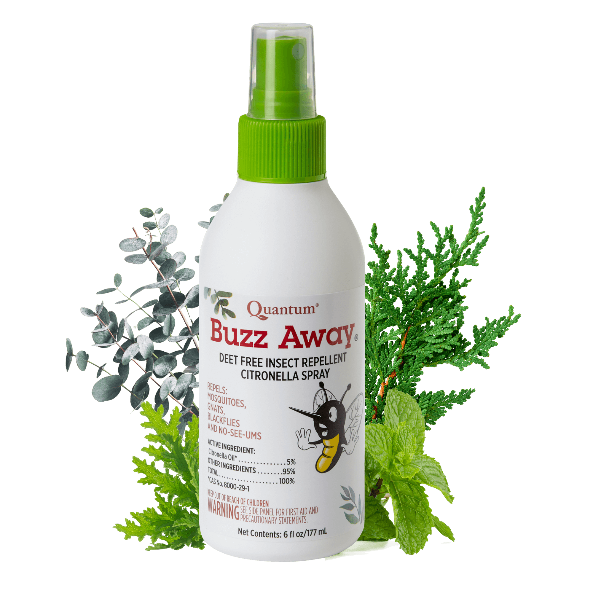 Quantum Buzz Away insect repellent spray bottle with green sprayer top on a white background with green leaves.
