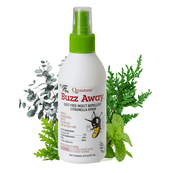 Quantum Buzz Away insect repellent spray bottle with green sprayer top on a white background with green leaves.