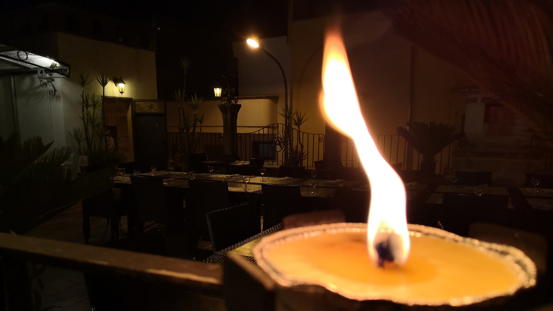 Citronella and Mosquitoes: What Really Works to Keep Them Away