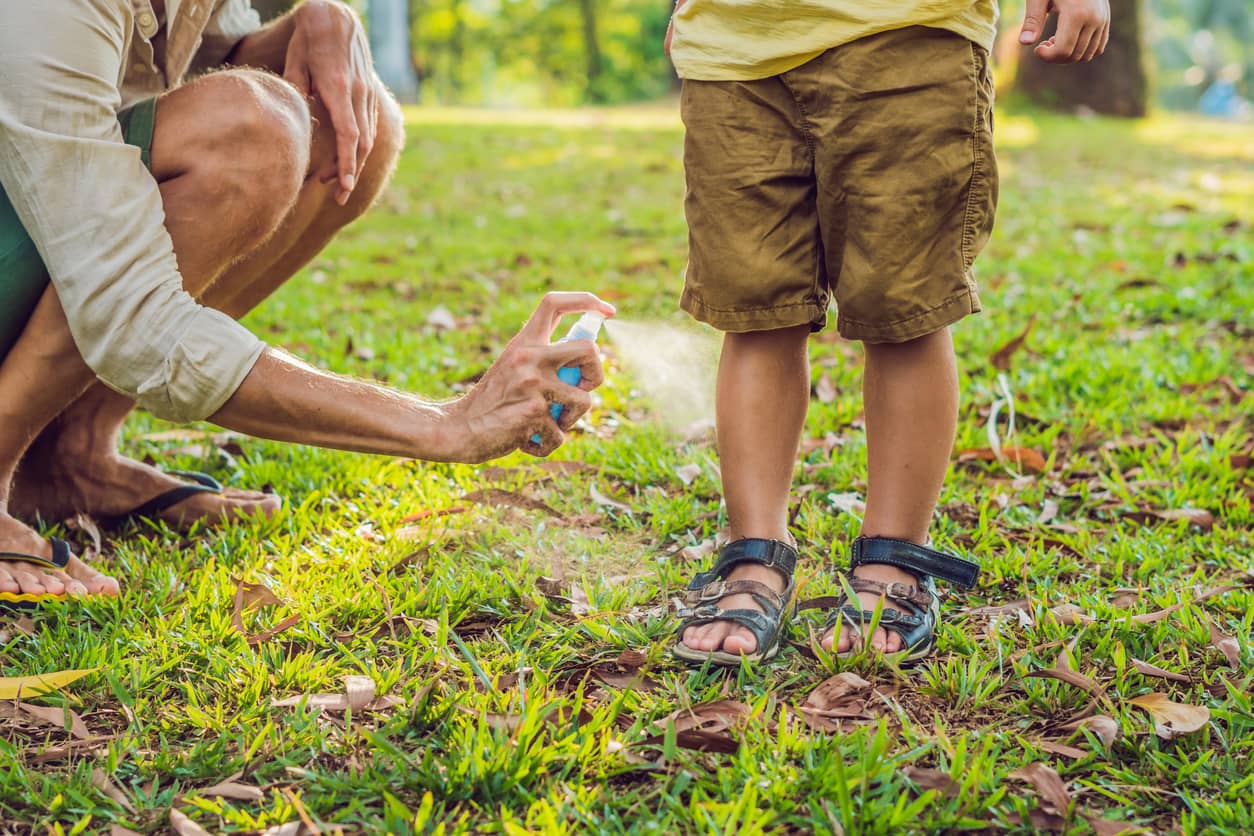 DEET vs. DEET-Free Insect Repellent