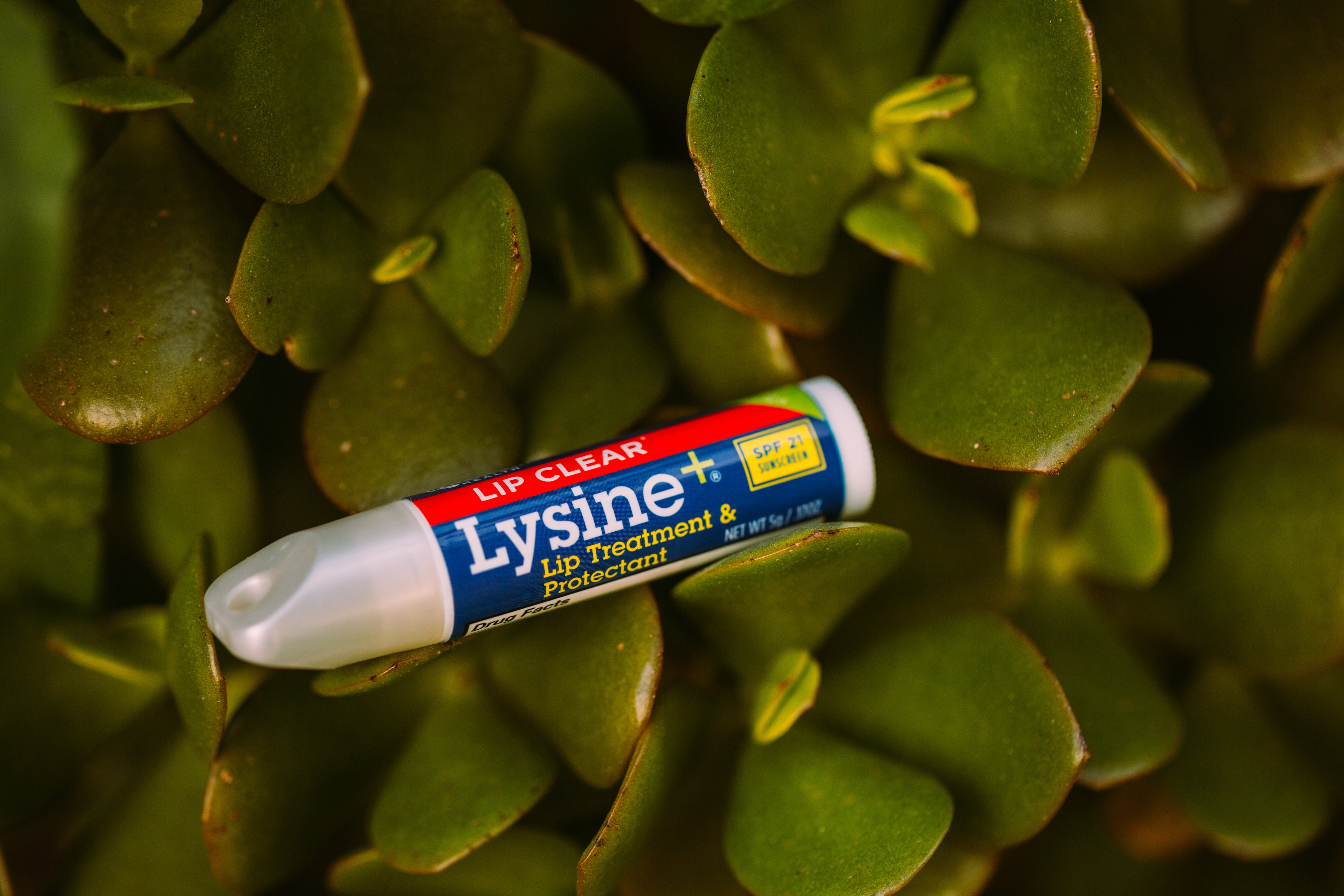 Protect Your Lips From the Sun With Lysine Lip Balm