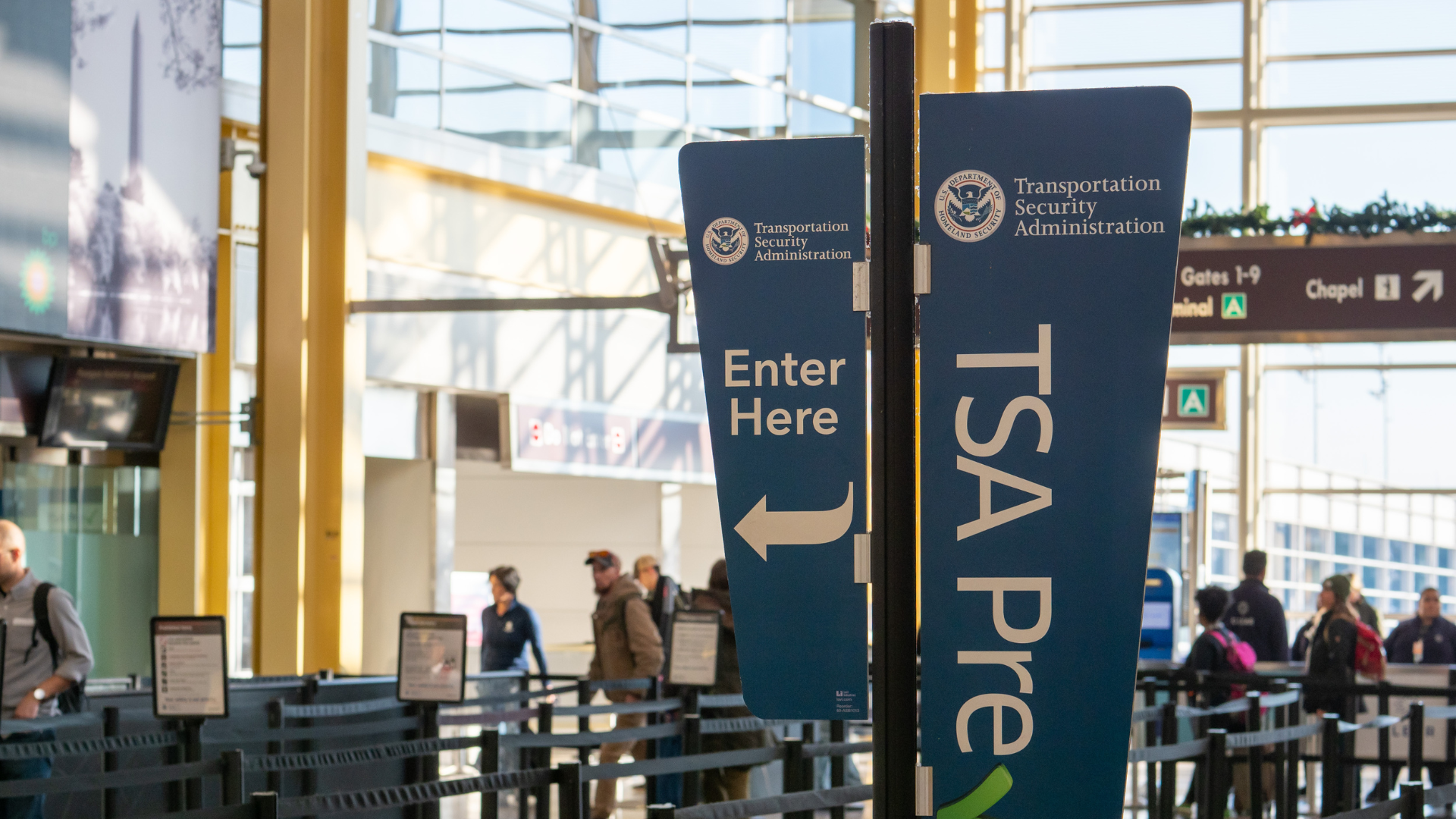 How to Choose TSA-Friendly Insect Repellents for Travel