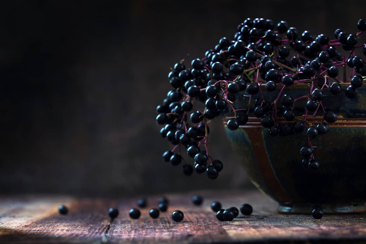 What is Elderberry? Uses, Benefits, and More