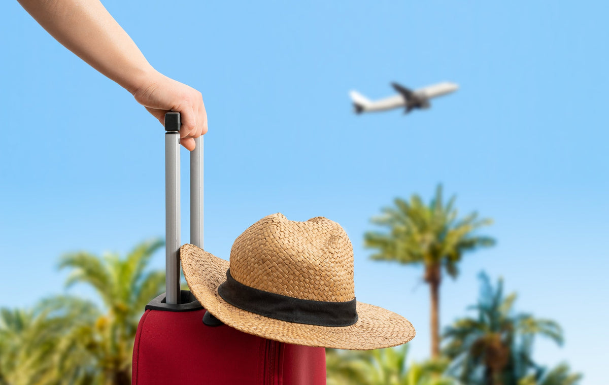 Summer Travel Wellness Essentials: Daily Support for Busy Travel Day