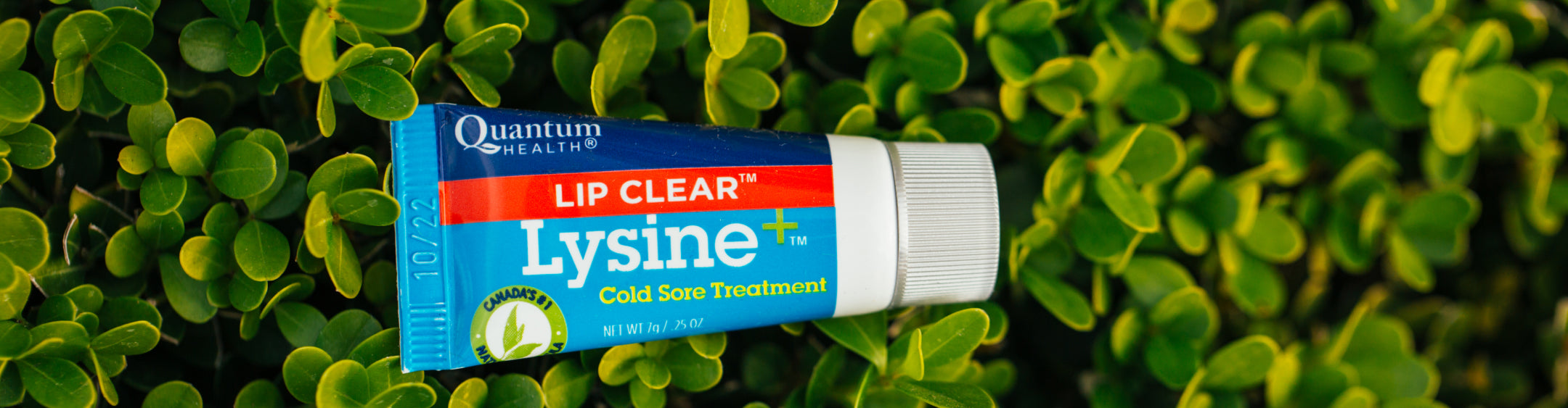 Cold Sore Medicine & Treatment