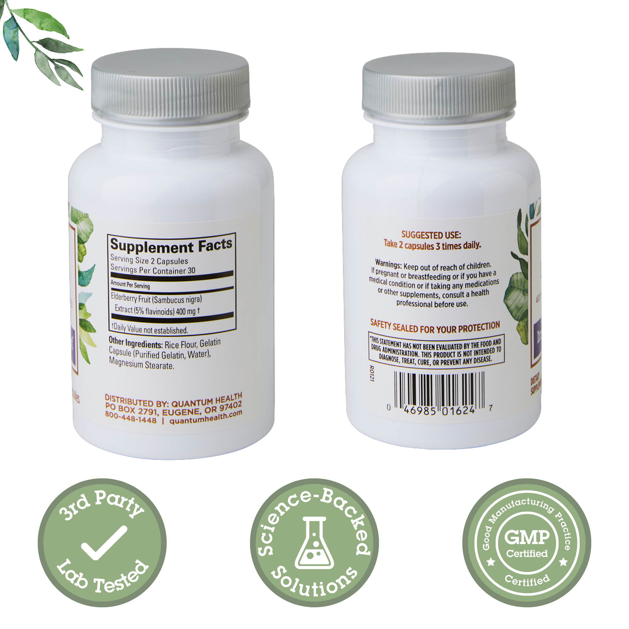 Elderberry Standardized Extract Capsules