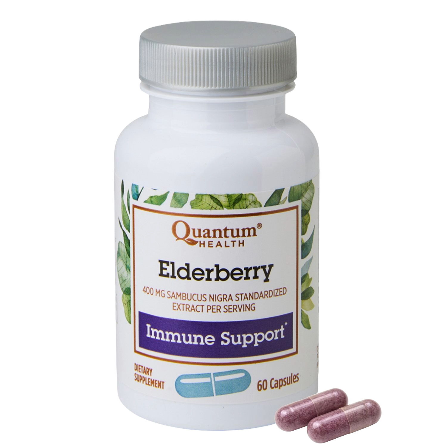 Elderberry Standardized Extract Capsules