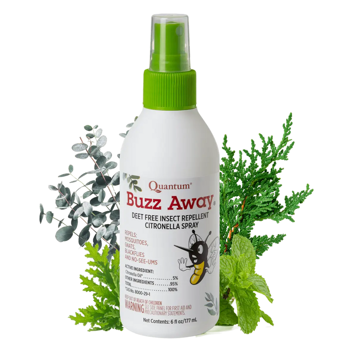 Quantum Buzz Away Buzz Away insect repellent spray bottle with green sprayer top on a white background with greenery.