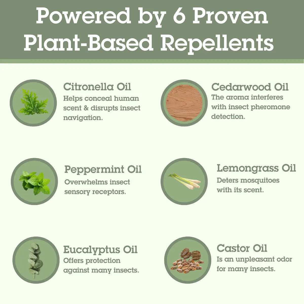 List of 6 plant-based repellents with images and brief descriptions on a green background.