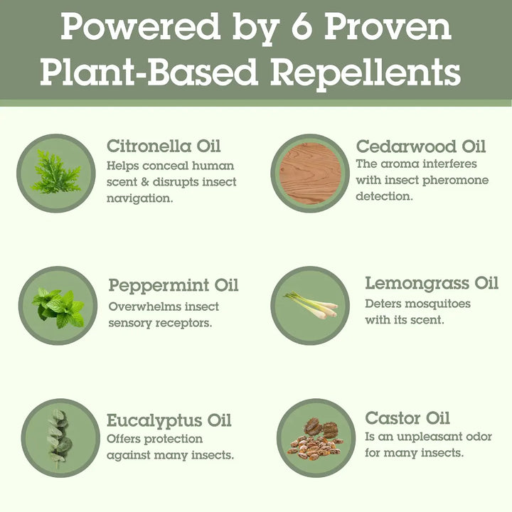 List of 6 plant-based repellents with images and brief descriptions on a green background.