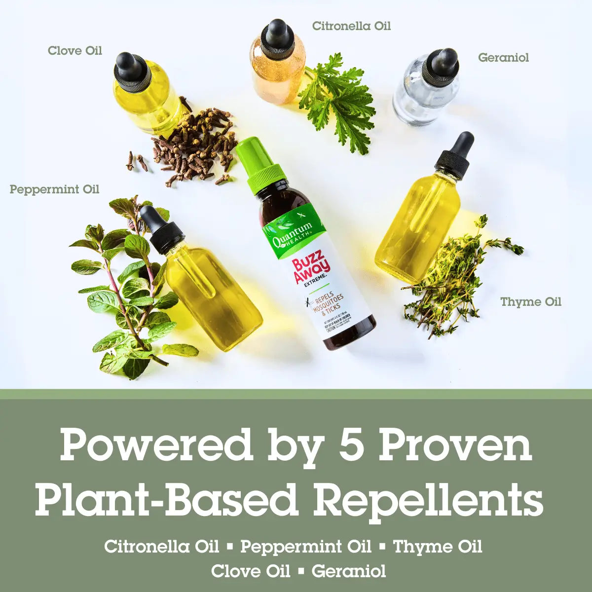 Collection of plant-based repellent bottles with their respective oils on a white background