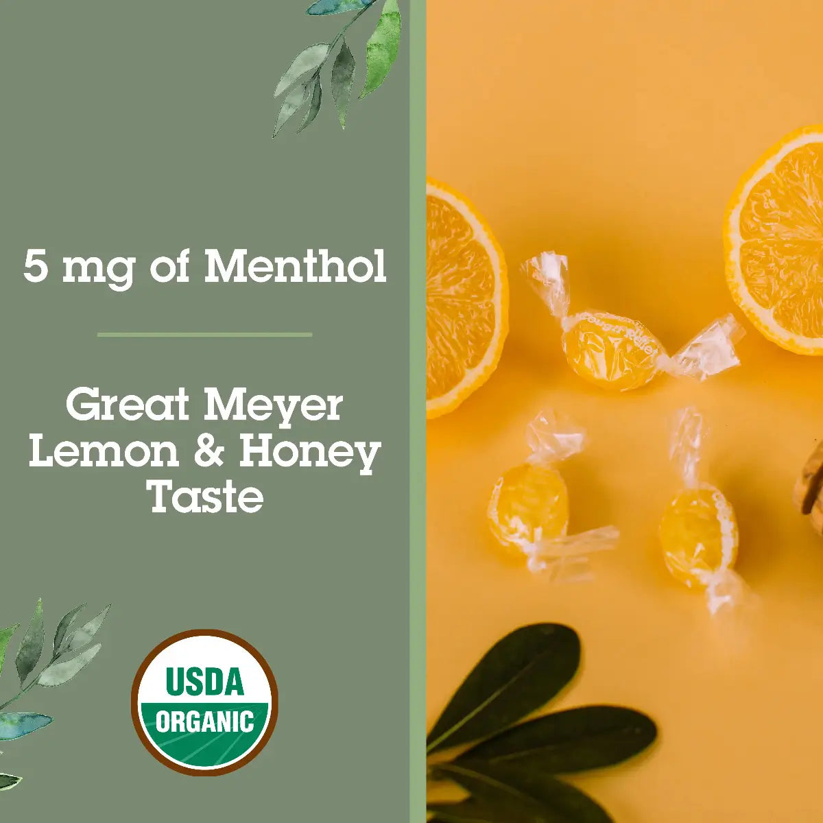 Product packaging with lemon slices, candy, and USDA Organic label on a green and orange background.
