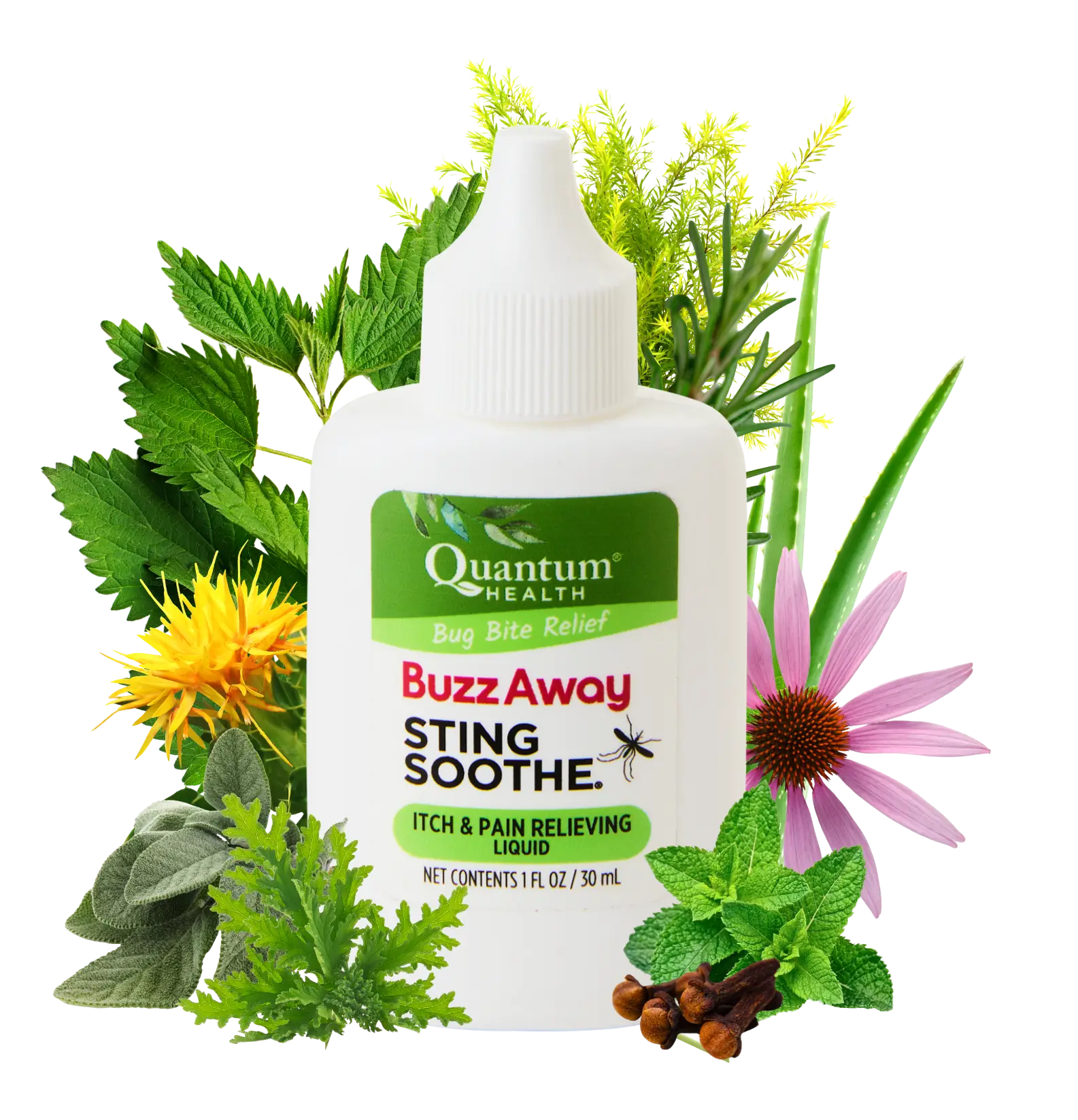 Quantum Health Buzz Away Sting Soothe product with natural elements on a white background