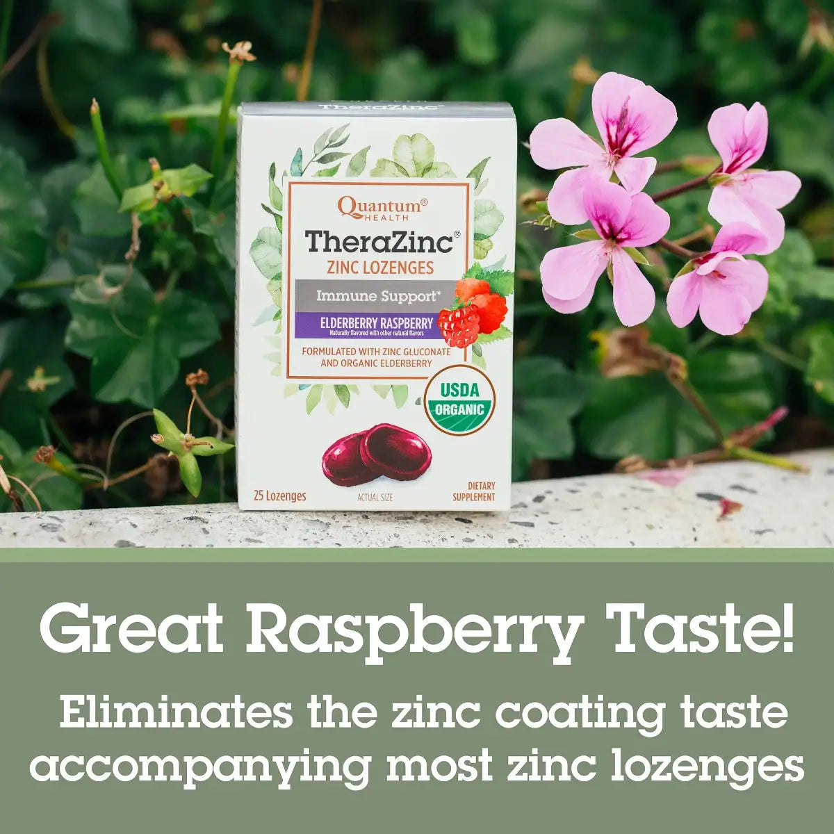TheraZinc® Organic Elderberry Raspberry Lozenges for Immune Support TheraZinc® Organic Elderberry Raspberry Lozenges for Immune Support