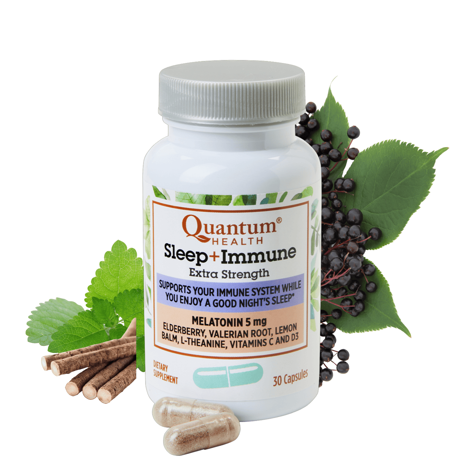 Sleep+ Immune | Sleep+ Immune Extra Strength