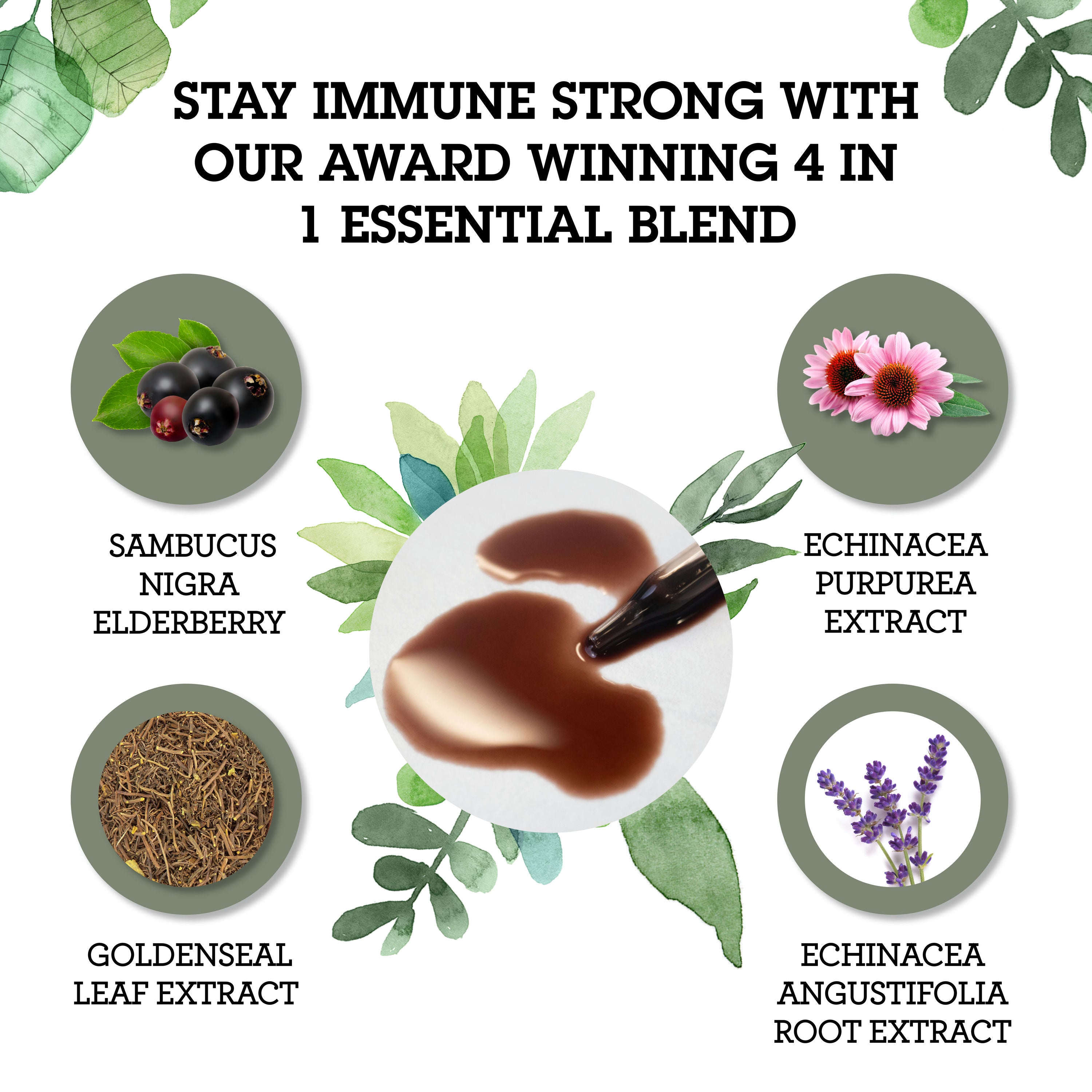 Immune Support Liquid Extract