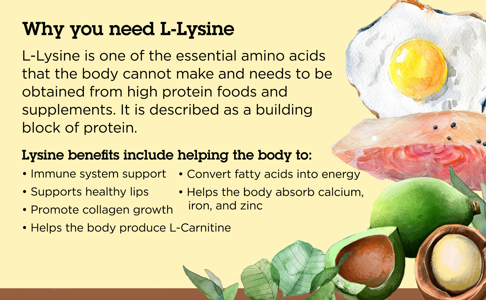 Lysine Benefits