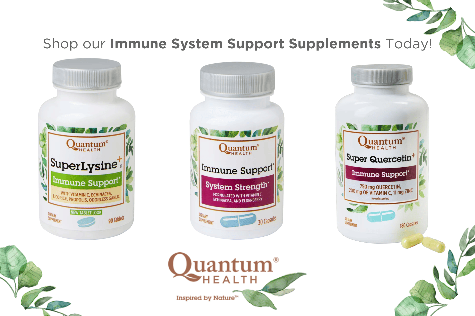 Shop Our Immune System Support Supplements