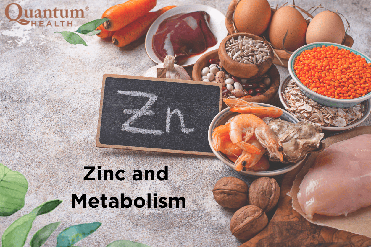 Zinc and Metabolism