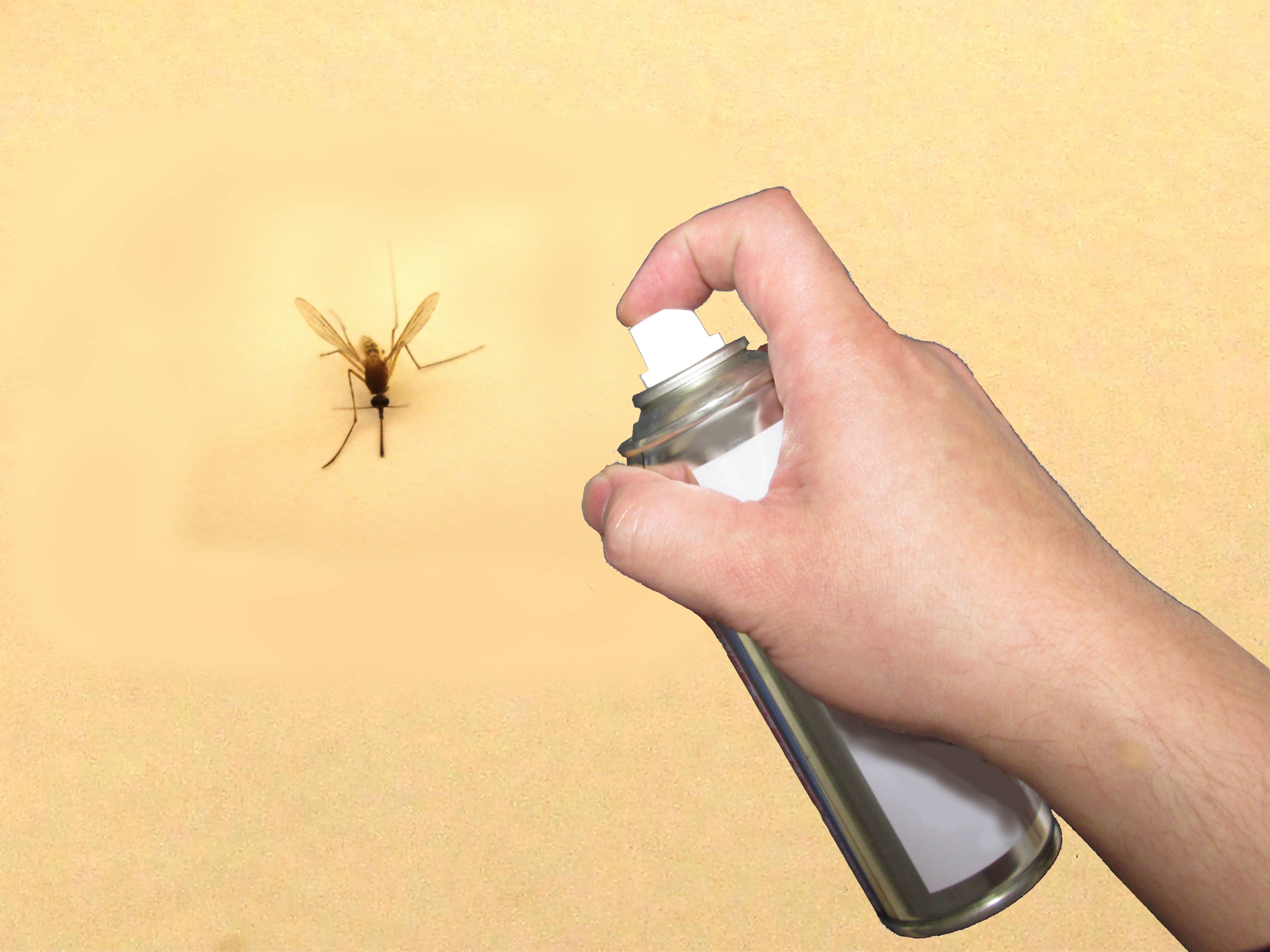 Does DEET-Free Mosquito Repellent Work?